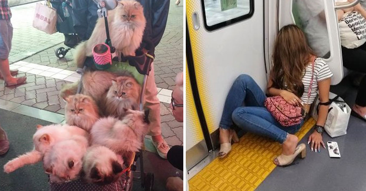 La rareza de los japoneses que nuestra gente nunca entenderá ni