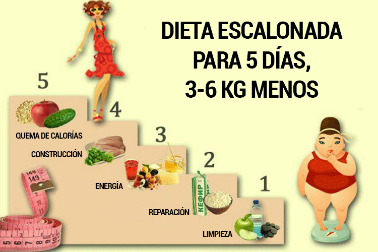 Dieta 5 dias
