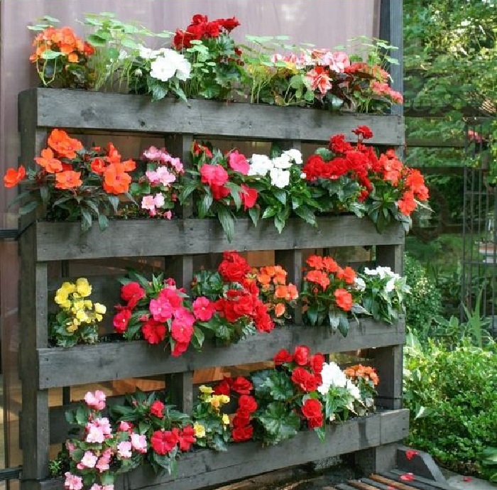 Diseño floral para el jardín