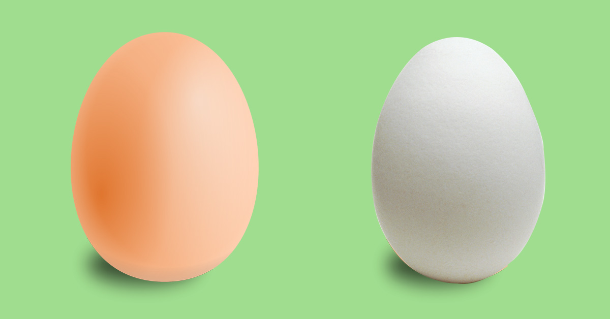 Глупые яйца. Яйцо. Коричневые и белые яйца. Яйцо куриное. Коричневое яйцо.