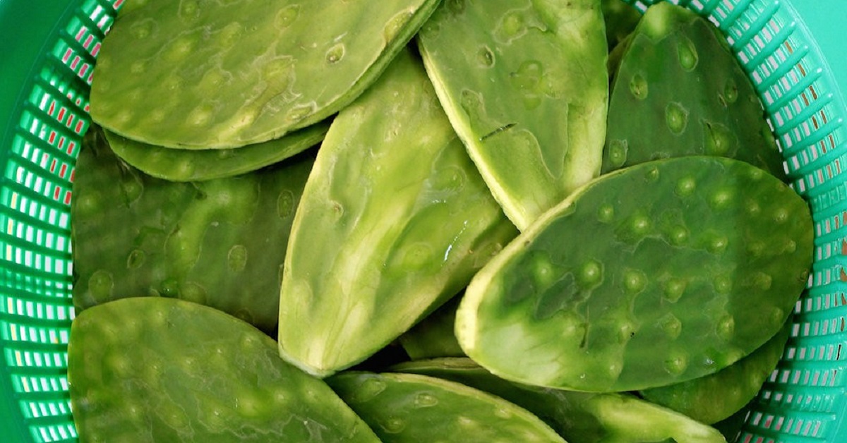 Los Beneficios De Comer Nopales