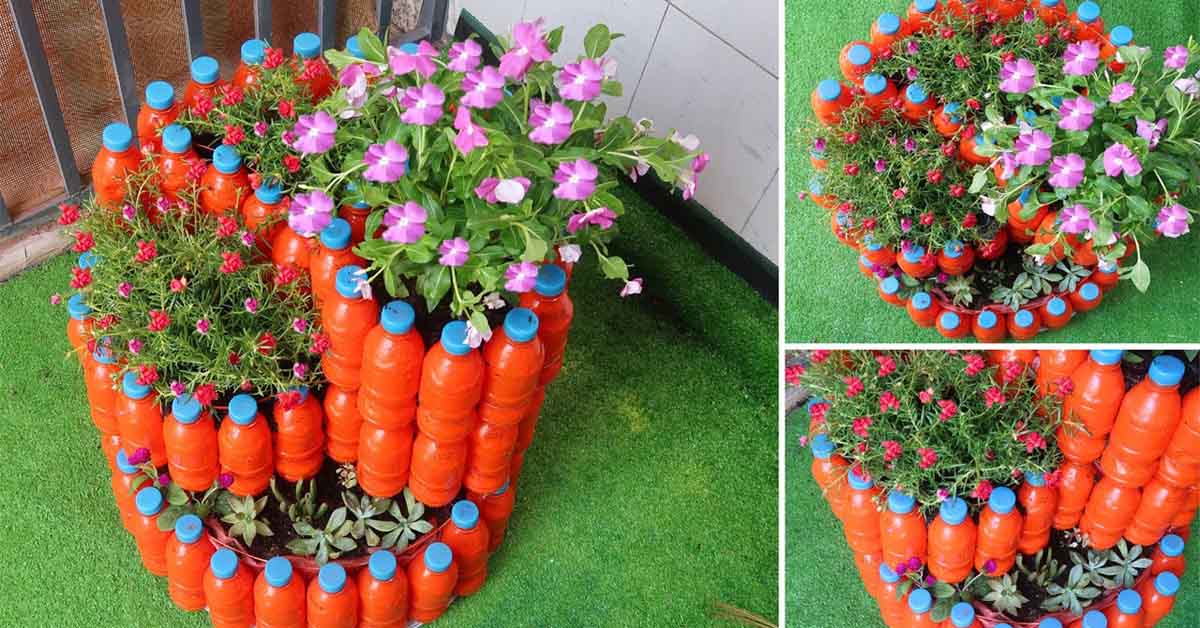 Manualidades útiles con botellas de plástico - ¡Qué pasada!